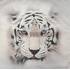 3D povlečení z mikrovlákna 140x200, 70x90 - Tygr bílý