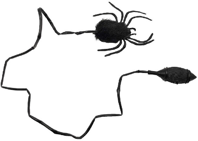 Chlupatý skákací pavouk na vzduchovou hadičku